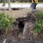 Tunnel-facing-south-1-30-2019