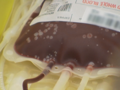 blood type