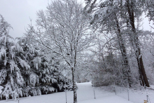 polar vortex