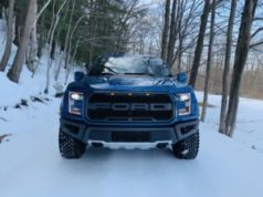 raptor