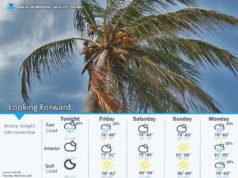 breezy weather