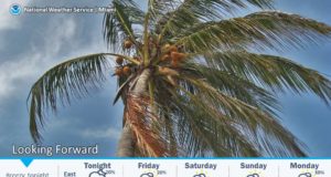 breezy weather