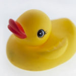 Rubber Duck Made of Plastic