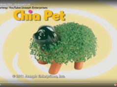 Chia