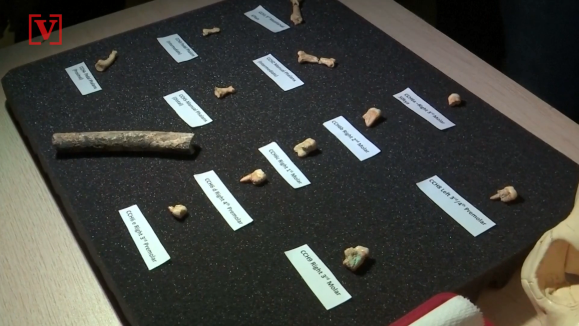 New Species of Ancient Human Found in Philippines Cave (2 Videos ...