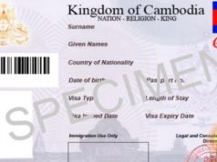 e-visa sample