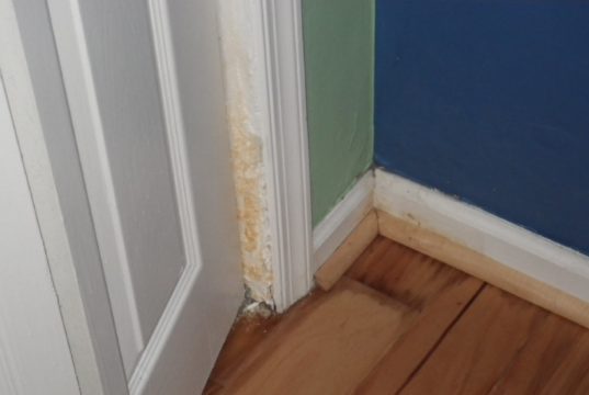 stains/"May 13, 2012" by osseous is licensed under CC BY 2.0