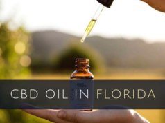 Oil