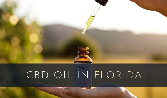 Oil