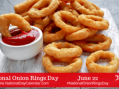 onion rings