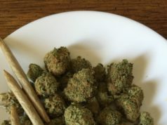 cannabis