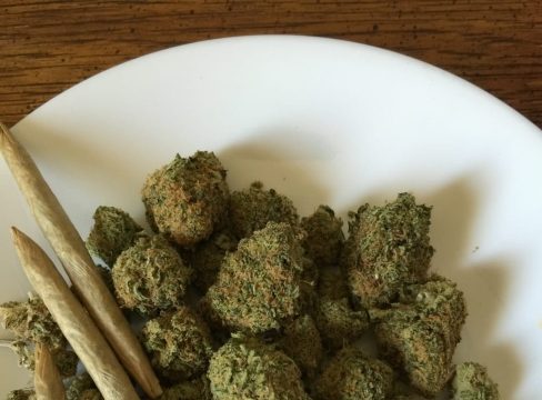 cannabis