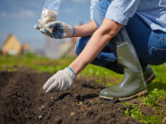 seed saving