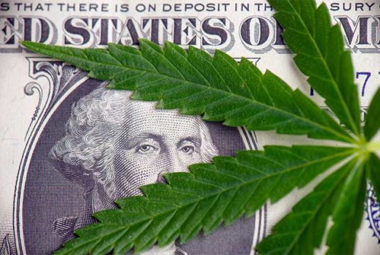 marijuana