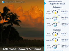 storms saturday