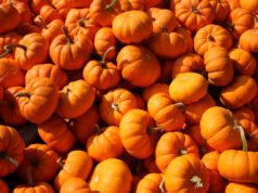 Pumpkin Spice