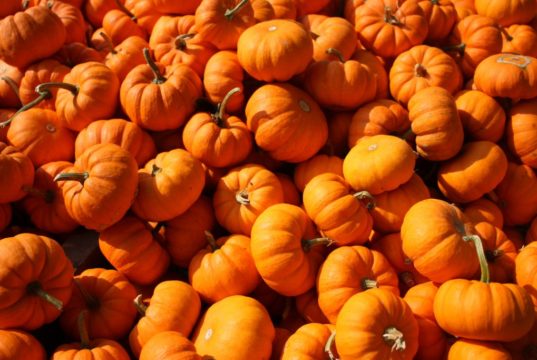Pumpkin Spice