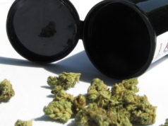 cannabis