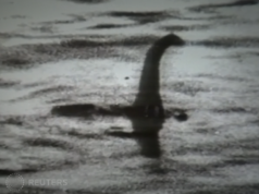 Nessie