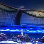 Marine Science Center