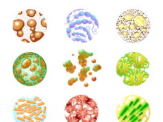 https://www.freepik.com/free-vector/bacteria-icons-set_2873575.htm#page=1&query=superbugs&position=1