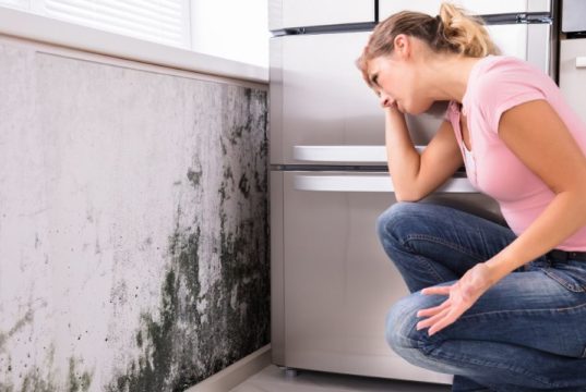 The Hidden Dangers of Black Mold in the House