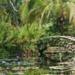 IRMcKeesGridleyGravesBridge_med