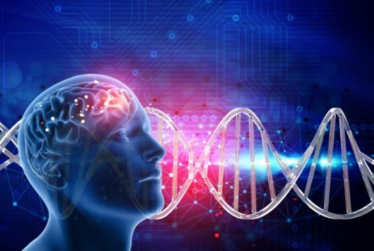 https://www.freepik.com/free-photo/3d-medical-background-with-male-head-brain-dna-strands_1218628.htm#page=1&query=brain%20cells&position=11