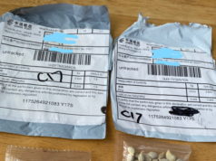 https://wastatedeptag.blogspot.com/2020/07/seedsfrom.html?fbclid=IwAR1g1qXHnmabb1RJhHopvk3FPdOjDLZEUqgRcdOR_8JWdku6gqur-Lou934