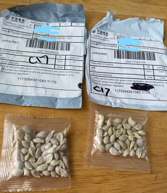 https://wastatedeptag.blogspot.com/2020/07/seedsfrom.html?fbclid=IwAR1g1qXHnmabb1RJhHopvk3FPdOjDLZEUqgRcdOR_8JWdku6gqur-Lou934
