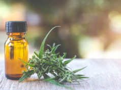 https://www.freepik.com/free-photo/cannabis-oil-cbd-oil-cannabis-extract-medical-cannabis-concept_4833225.htm#page=1&query=cbd%20oil&position=13