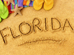 https://www.freepik.com/free-photo/florida-beach_1133688.htm#page=1&query=florida%20&position=8