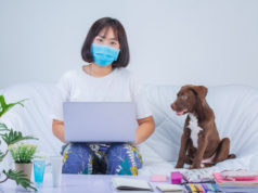 https://www.freepik.com/free-photo/freelance-work-from-home-young-woman-is-working-near-dog-sofa-home_7955616.htm#page=1&query=covid%20pet%20&position=35