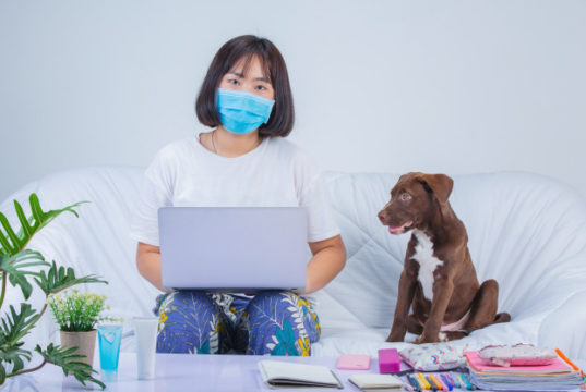 https://www.freepik.com/free-photo/freelance-work-from-home-young-woman-is-working-near-dog-sofa-home_7955616.htm#page=1&query=covid%20pet%20&position=35
