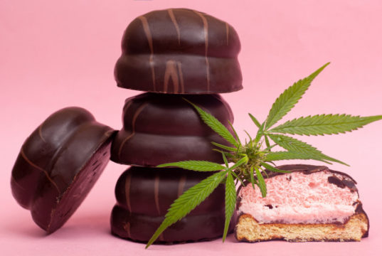 https://www.freepik.com/premium-photo/medical-chocolate-sweets-with-thc-chocolate-marshmallows-cannabis-bud-pink-background_7052501.htm#page=1&query=cbd%20edibles&position=25