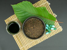 https://www.freepik.com/premium-photo/mitragynina-speciosa-kratom_6107800.htm#query=Kratom&position=16