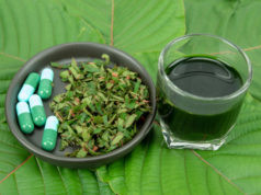 https://www.freepik.com/premium-photo/mitragynina-speciosa-kratom_6107810.htm