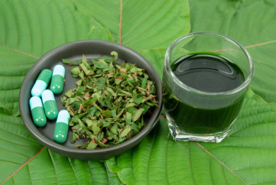 https://www.freepik.com/premium-photo/mitragynina-speciosa-kratom_6107810.htm