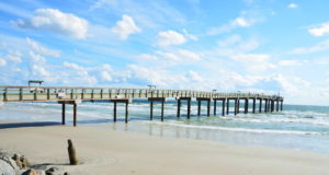 https://pixabay.com/photos/st-augustine-beach-florida-fishing-1553501/