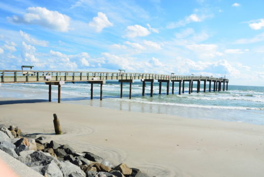 https://pixabay.com/photos/st-augustine-beach-florida-fishing-1553501/
