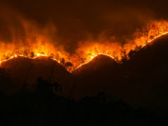 https://www.freepik.com/premium-photo/fire-wildfire-burning-pine-forest-smoke-flames_4323877.htm#page=1&query=wildfires&position=4