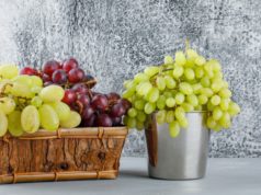 https://www.freepik.com/free-photo/grapes-mini-bucket-basket-side-view-plaster-grungy-grey_10183653.htm#page=1&query=winery&position=9