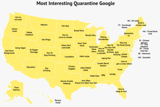 https://www.zippia.com/wp-content/uploads/2020/08/weird-quarantine-googles.png
