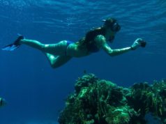 Tips for Taking Underwater Photos