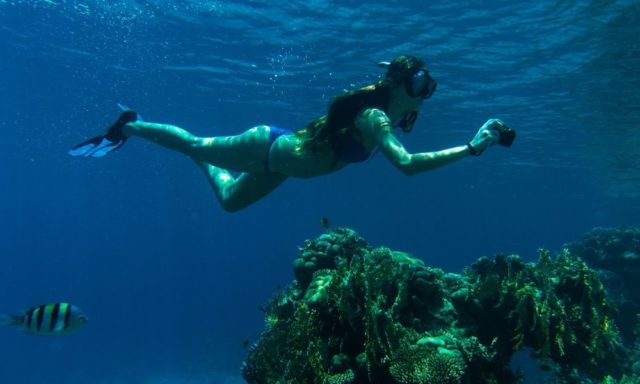 Tips for Taking Underwater Photos
