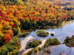 https://stocksnap.io/photo/autumn-aerial-AKKTBLHTTO