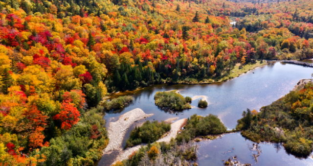 https://stocksnap.io/photo/autumn-aerial-AKKTBLHTTO