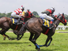 https://www.freepik.com/premium-photo/race-hose_3849972.htm#page=3&query=horse+race&position=4