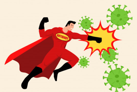 https://www.freepik.com/premium-vector/superhero-fighting-viruses_7682203.htm#page=1&query=covid%20antibodies&position=10