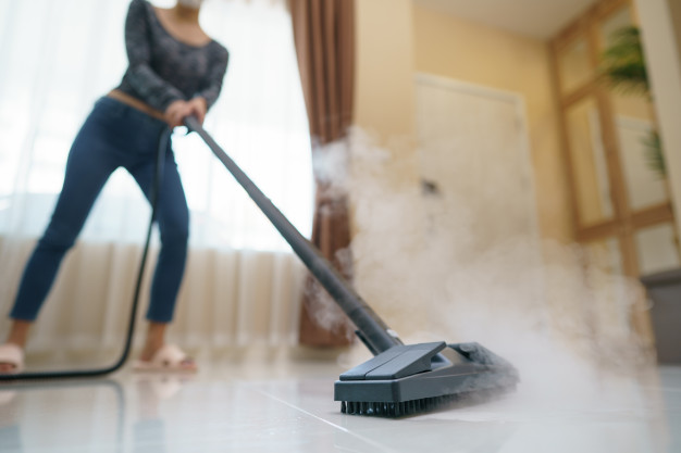 https://www.freepik.com/premium-photo/woman-washes-floor-with-steam-mop_7462753.htm#page=1&query=floor%20steam%20cleaner&position=11